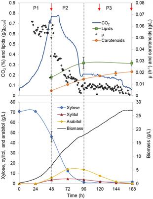 Xylose Metabolism and the Effect of Oxidative Stress on Lipid and Carotenoid Production in Rhodotorula toruloides: Insights for Future Biorefinery